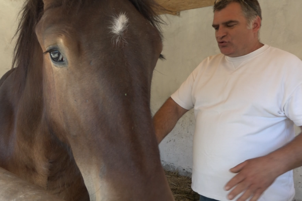Životinjsko carstvo Veselina Trumbetaševa jedinstveno je u Vojvodini