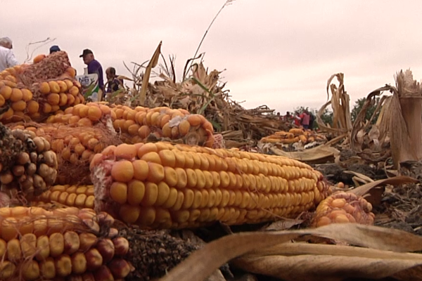 ,,Kukuruzijada” u Crnoj Bari čuva tradiciju od zaborava
